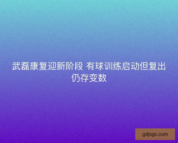 武磊康复迎新阶段 有球训练启动但复出仍存变数