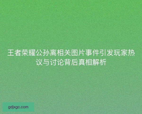 王者荣耀公孙离相关图片事件引发玩家热议与讨论背后真相解析