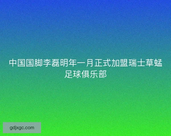 中国国脚李磊明年一月正式加盟瑞士草蜢足球俱乐部